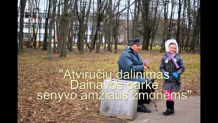 Socialiniai partneriai